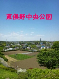 ���V�C�T�C�R�`