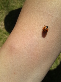 �Ă�Ƃ���