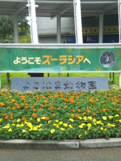 �J���������I